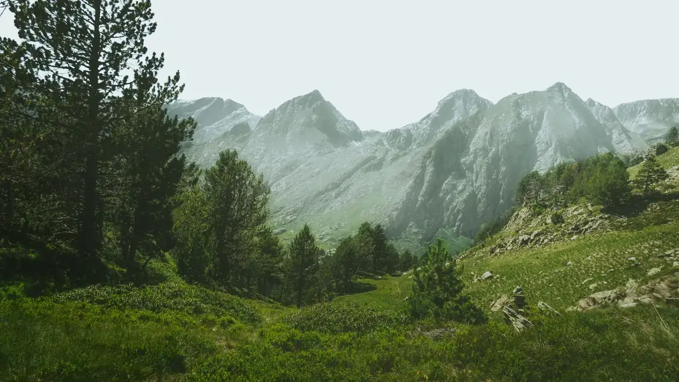 A misty view of the Pyrenees showcasing rugged mountains and lush green forestry in Catalonia.