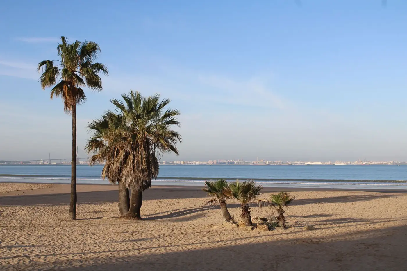 Tranquil view of palm trees on the beach at El Puerto de Santa María, Andalucía, Spain