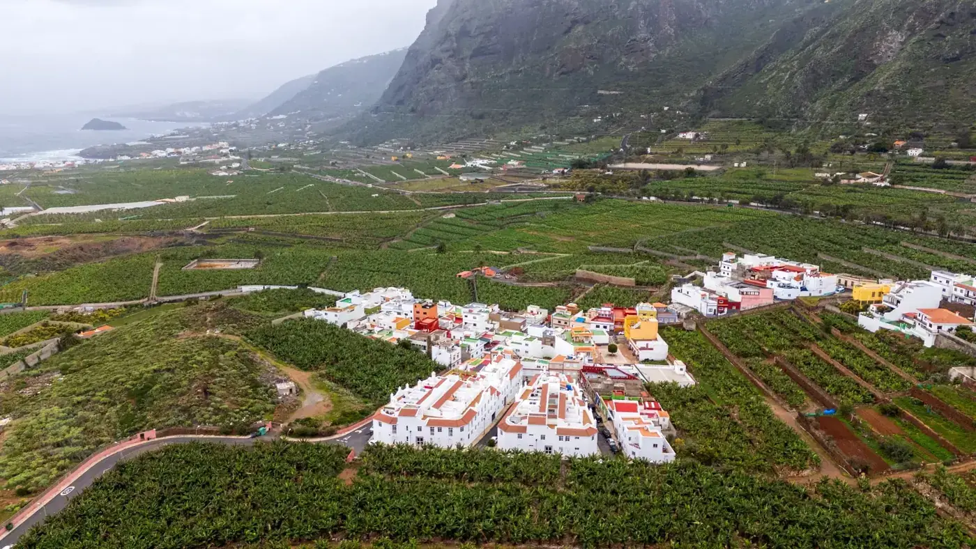 Buenavista del Norte