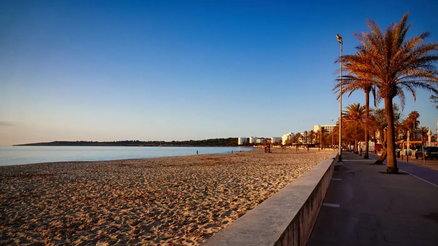 Beautiful sunrise over Cala Millor beach with palm trees and a calm sea in Mallorca, Spain.
