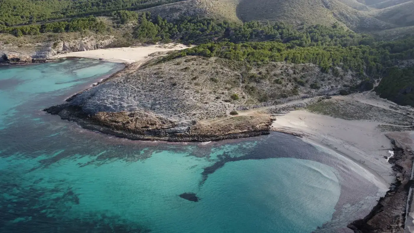 A breathtaking aerial shot of Cala Torta beach with clear turquoise waters in Mallorca, Spain.