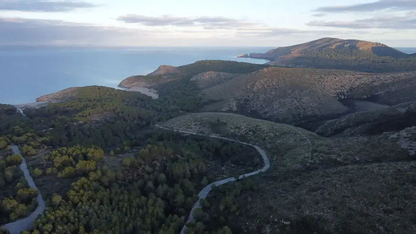Aerial view of the rugged coast and lush forests of Artà in Mallorca, Spain.