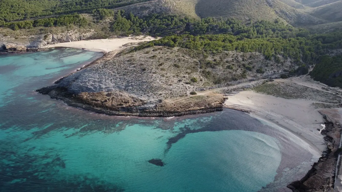 A breathtaking aerial shot of Cala Torta beach with clear turquoise waters in Mallorca, Spain.