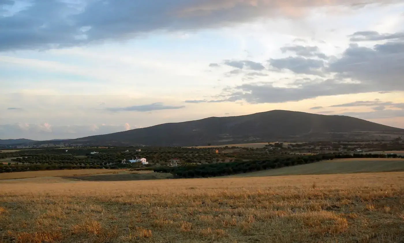 Peaceful rural landscape with fields and mountains in La Haba, Spain at sunset.