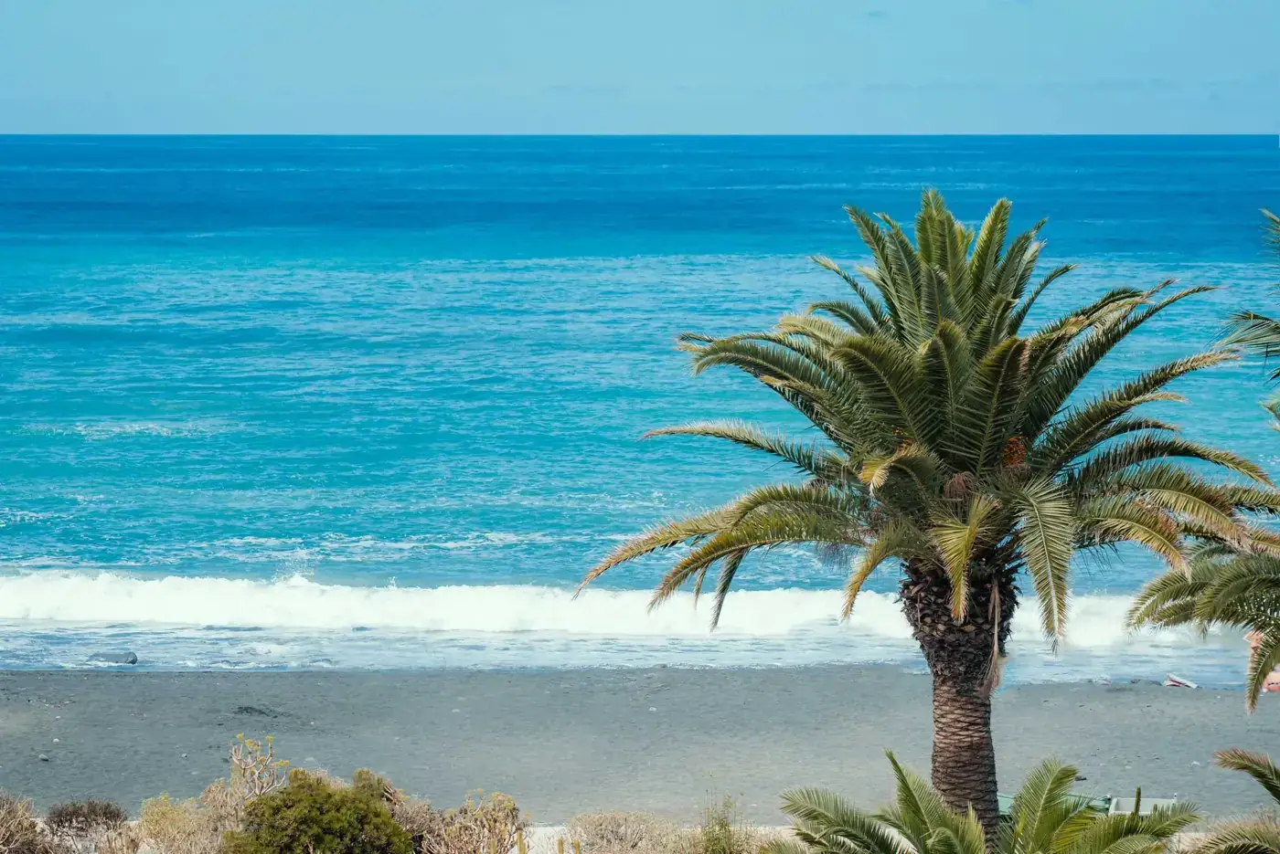 Beautiful ocean and sandy beach scene with a palm tree in Puerto de la Cruz, Spain.