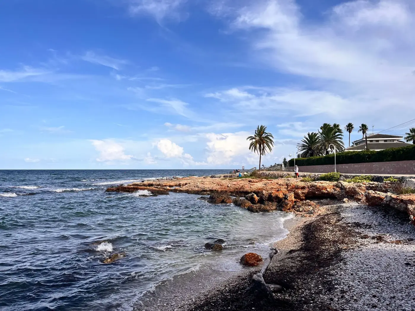 Beautiful rocky shoreline of Dénia with palm trees and ocean waves under a blue sky.
