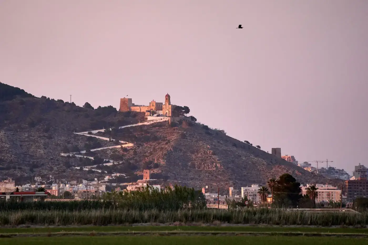 Cullera