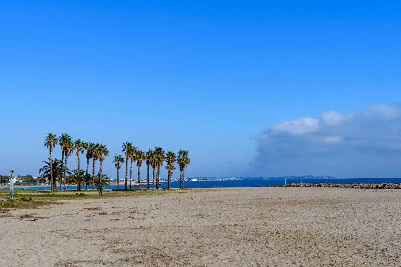 Scenic view of palm trees and sandy beach in Cambrils, Spain with a clear blue sky.
