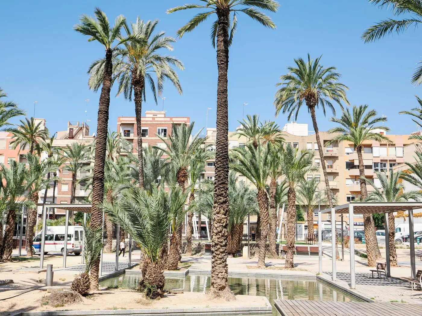 A vibrant urban park scene with tall palm trees and buildings under a blue sky.