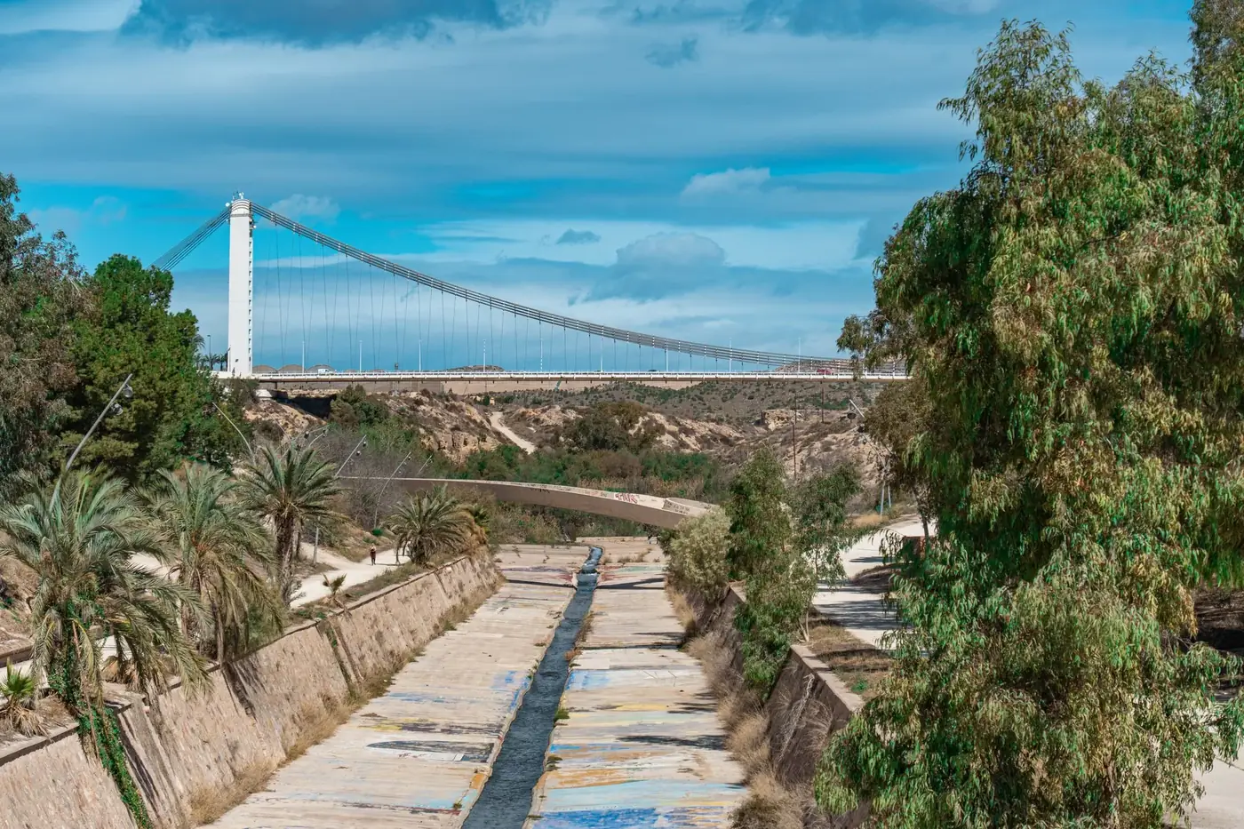 The Millennium Bridge crossing Elche, Spain offers a stunning landscape of modern architecture amidst lush nature.