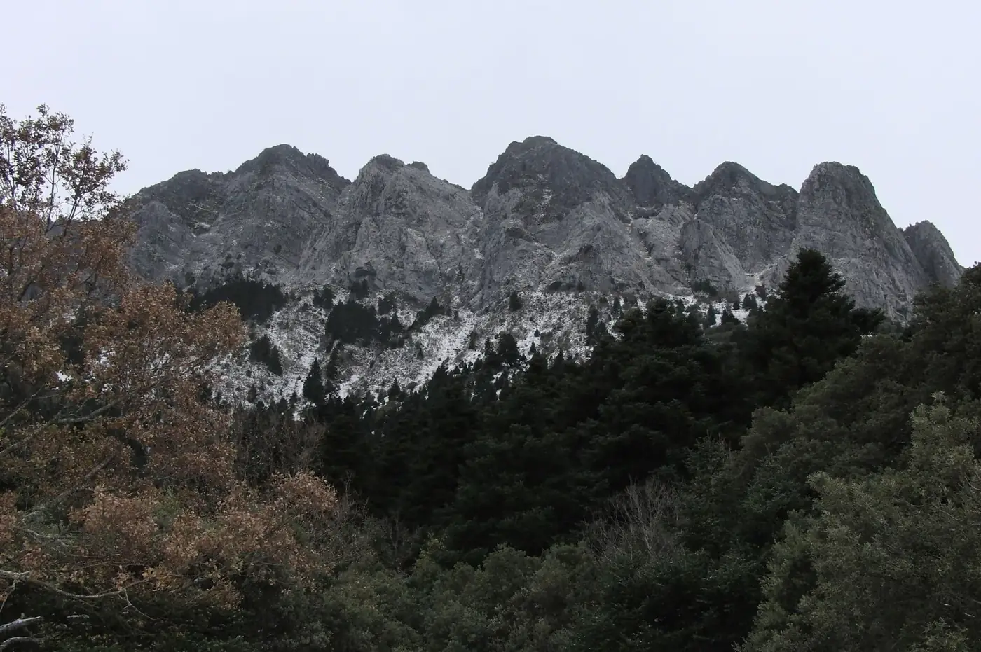 Grazalema