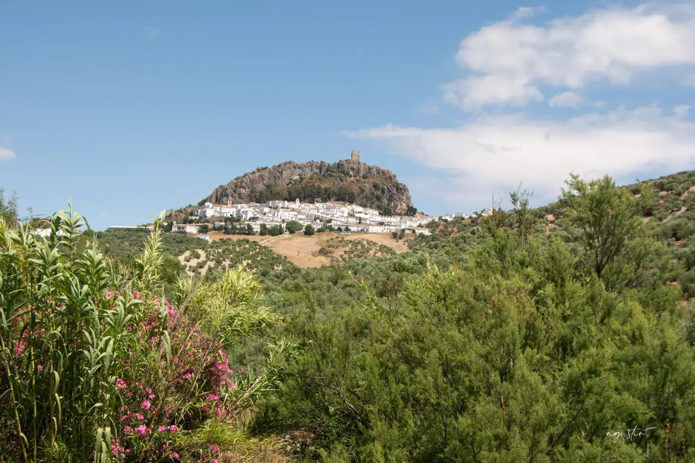 Historic hilltop town of Zahara de la Sierra with lush greenery and blue skies in Spain.