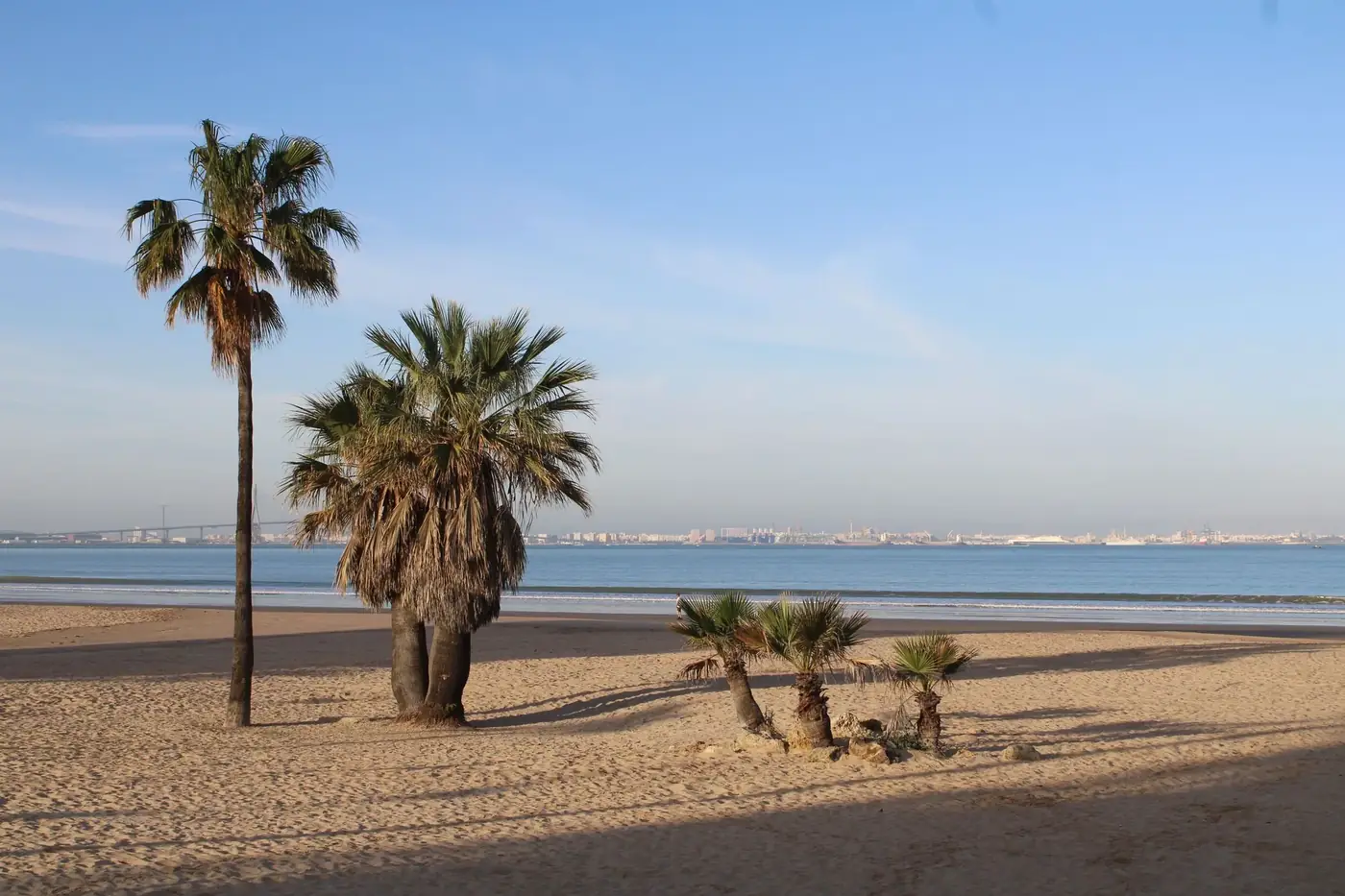 Tranquil view of palm trees on the beach at El Puerto de Santa María, Andalucía, Spain