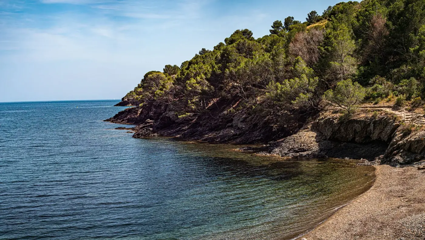 Breathtaking coastal view in Roses, Catalunya with lush greenery and rocky shoreline.