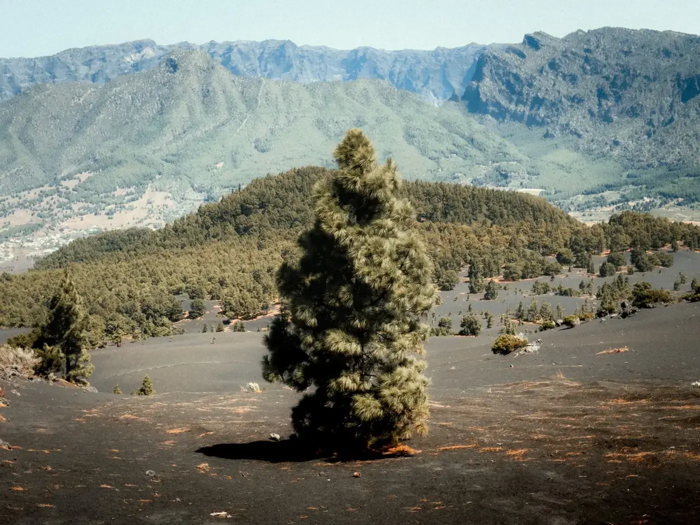 La Palma