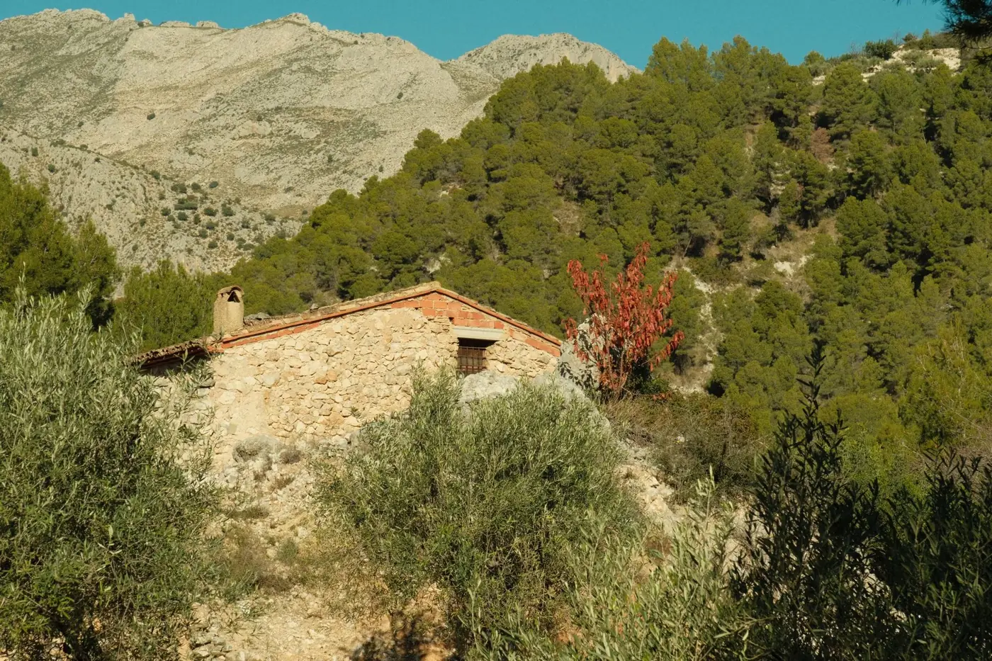 Charming stone house nestled in the lush, mountainous landscape of Guadalest, Spain.