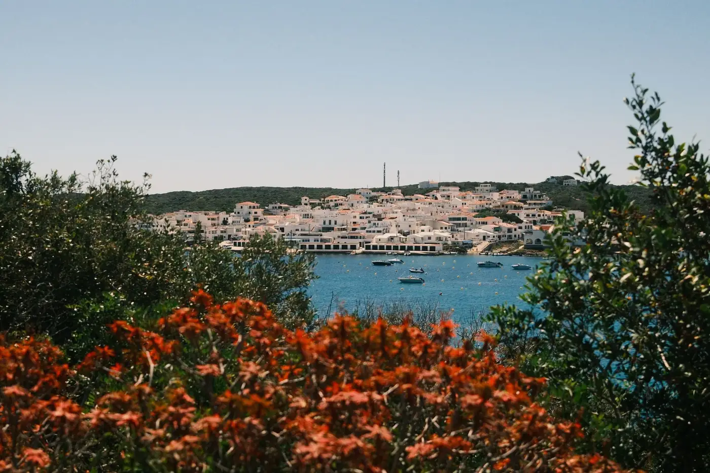 Explore a beautiful coastal town with vivid flora under bright daylight, perfect for travel inspiration.