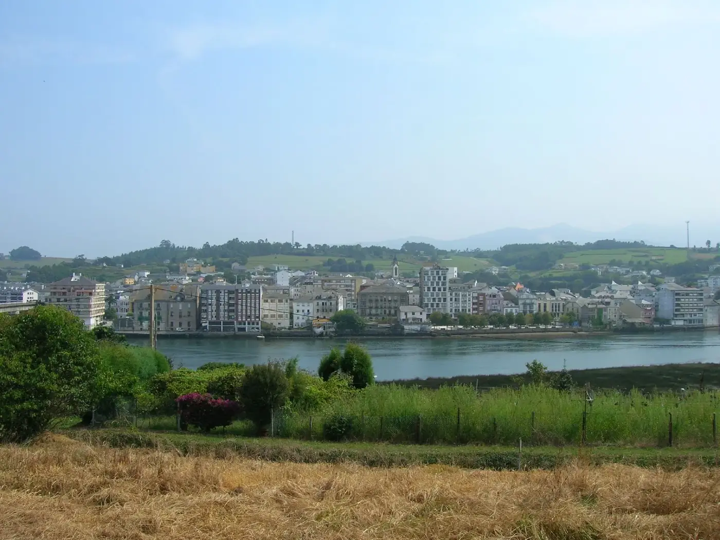 Navia