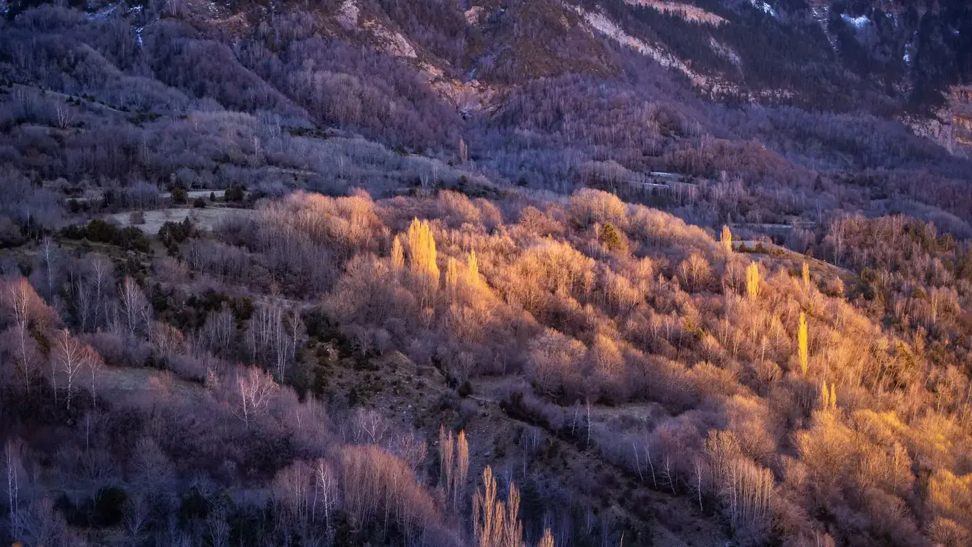 A beautiful winter view of a forested mountain valley in the Pyrenees during sunset, showcasing dramatic light and shado