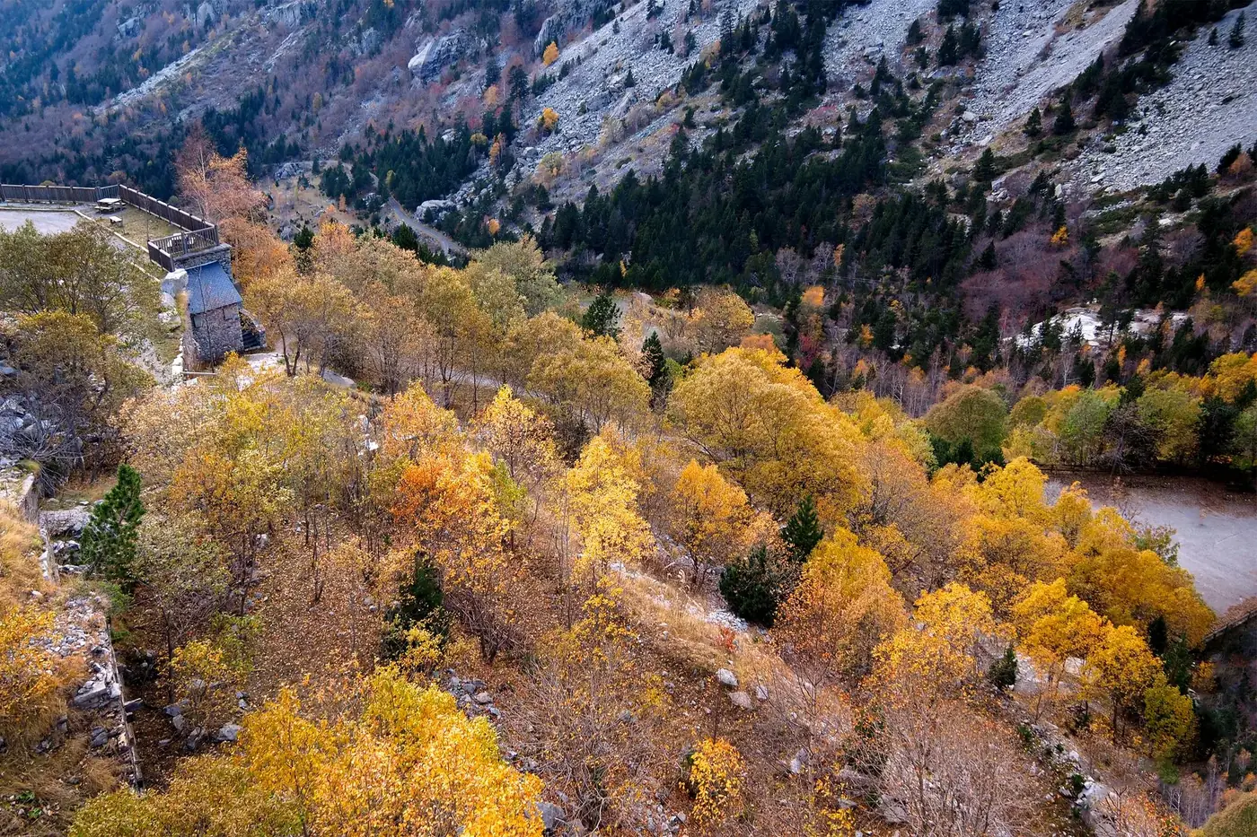 Stunning aerial view of autumn forest in Tahull, capturing the vibrant fall colors of the mountains.