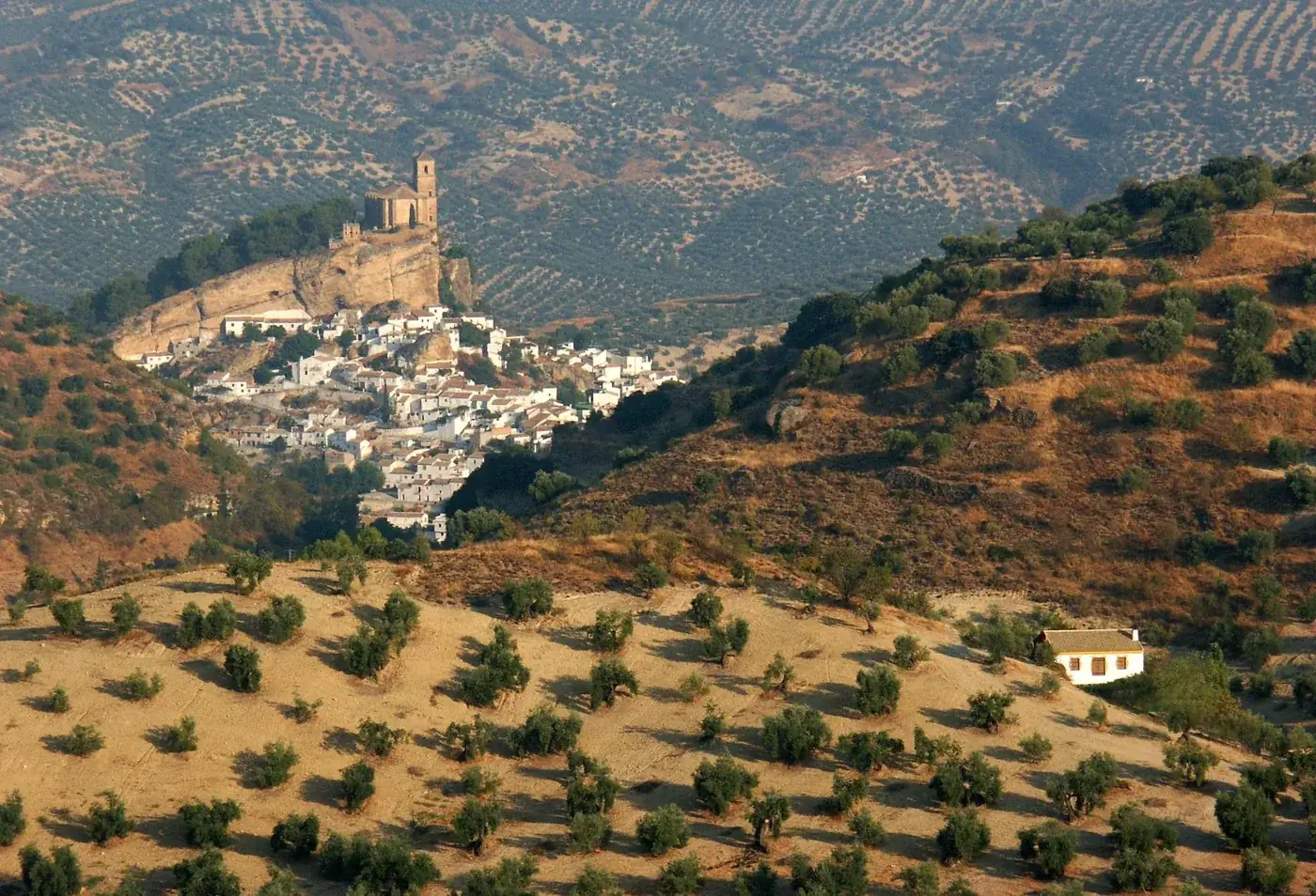 A picturesque Andalusian village nestled on a hill, surrounded by olive groves in Spain.
