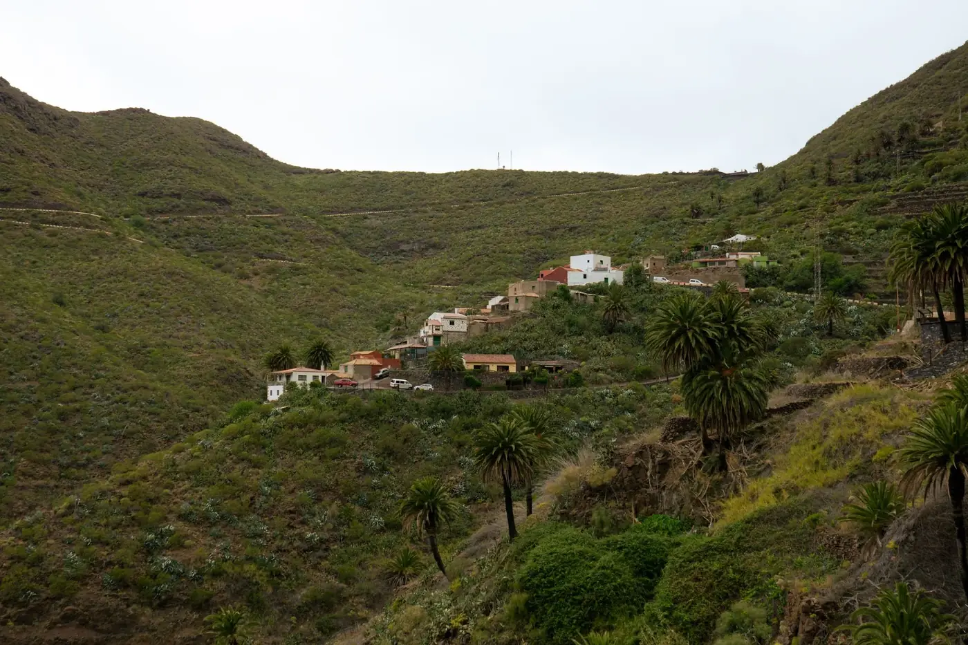Picturesque view of Masca village nestled in the lush green hills of Tenerife, Canary Islands.