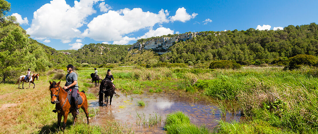 Paardrijtoerisme op Menorca