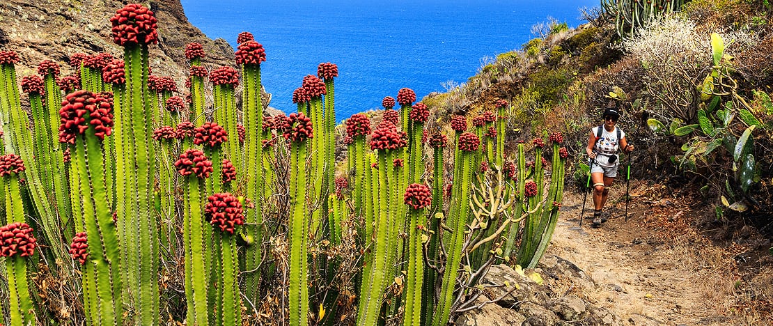 Wandelaar in Cardones de La Palma, Canarische Eilanden