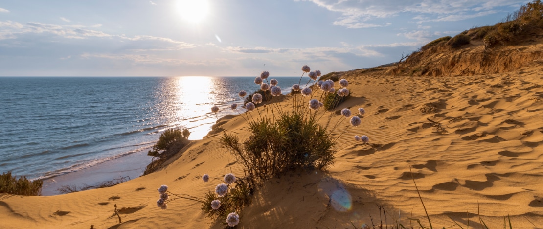 Uitzicht op de duinen bij het strand van Matalascañas in Huelva, Andalusië