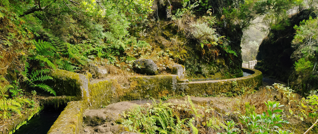 Detail van het Marcos y Cordero-pad in La Palma, Canarische Eilanden