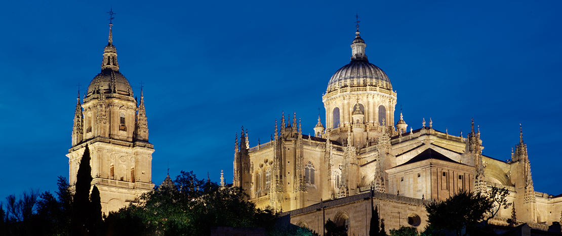 Kathedraal van Salamanca