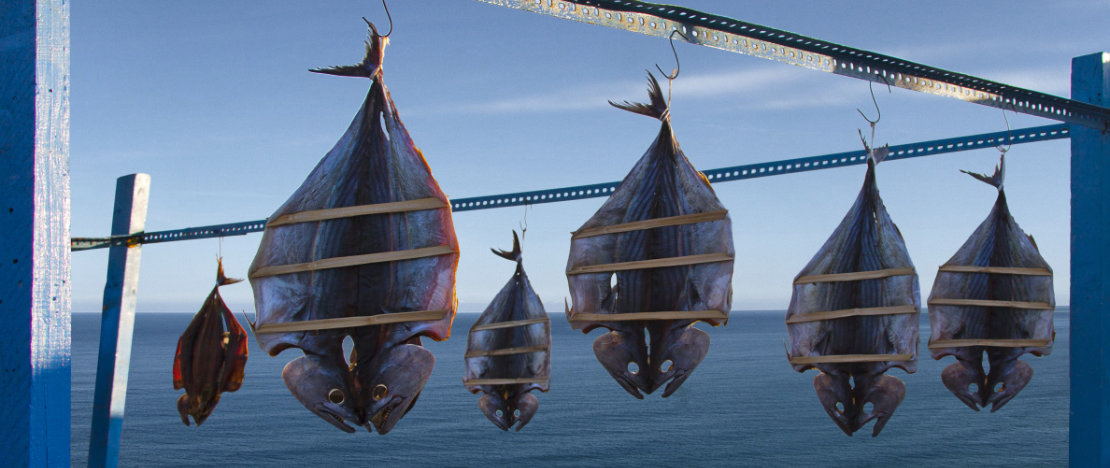 Details van bonito en vliegende vissen die drogen in de zon in Ceuta