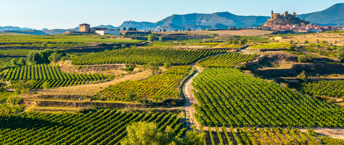 Wijngaarden van La Rioja