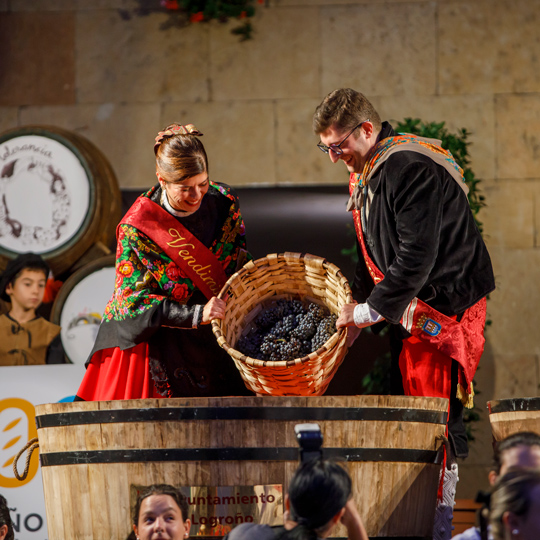 De Vendimiadores Mayores op het Rioja-wijnoogstfestival in Logroño, La Rioja