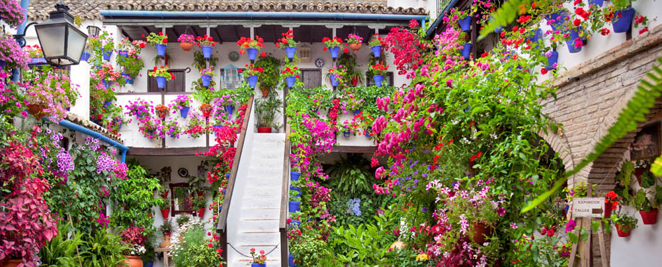 Binnenplaats met bloemen in Cordoba